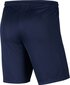 Nike Park III Knit Jr lühikesed püksid poistele, sinine hind ja info | Poiste lühikesed püksid | kaup24.ee