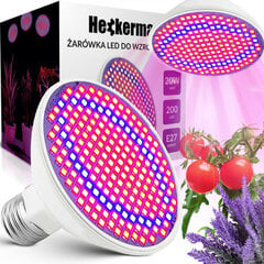 LED pirn taimedele / Phyto pirn / E27/ UFO / 1100 Lm / 20W / 200led hind ja info | Nutipotid ja taimelambid | kaup24.ee