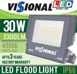 Visional LED-prožektor 30W / 3300lm / IP66 / 4000K hind ja info | Valgustid ja lambid | kaup24.ee