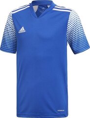 Jalgpallisärk Adidas Regista 20 Jr FI4563, sinine hind ja info | Jalgpalli varustus ja riided | kaup24.ee