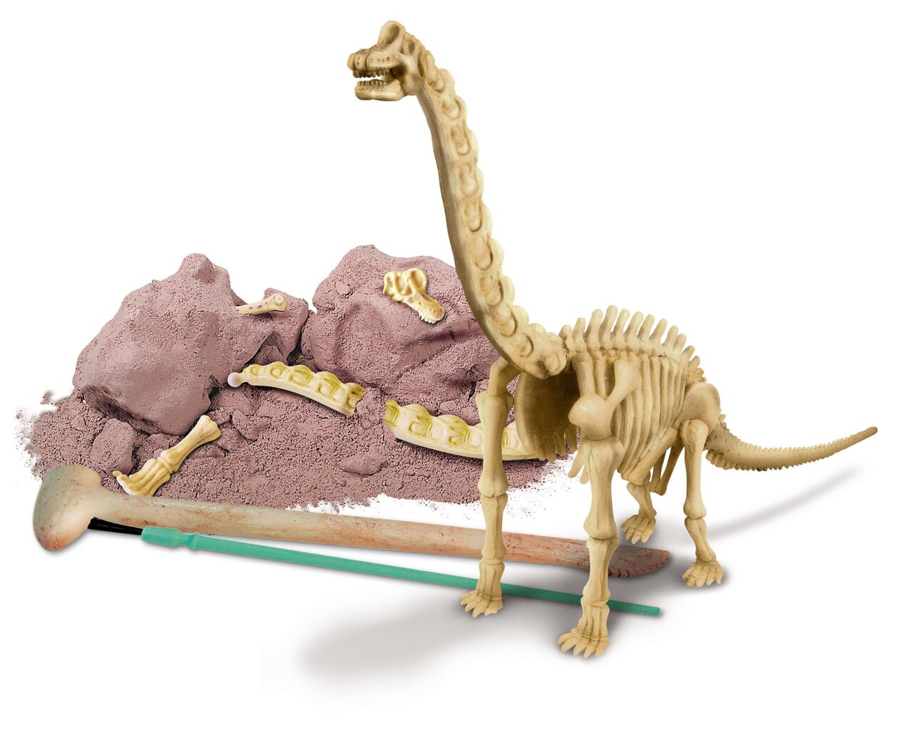 4M KIDZ LABS Brachiosauruse luukere hind ja info | Arendavad mänguasjad | kaup24.ee