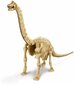 4M KIDZ LABS Brachiosauruse luukere цена и информация | Arendavad mänguasjad | kaup24.ee