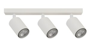 Потолочный светильник ZOOM 33316 цена и информация | Потолочные светильники | kaup24.ee