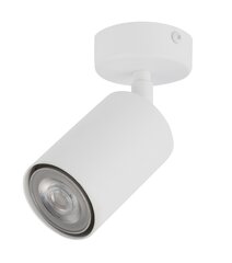 Потолочный светильник ZOOM 33314 цена и информация | Потолочные светильники | kaup24.ee