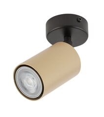 Потолочный светильник ZOOM 33319 цена и информация | Потолочные светильники | kaup24.ee