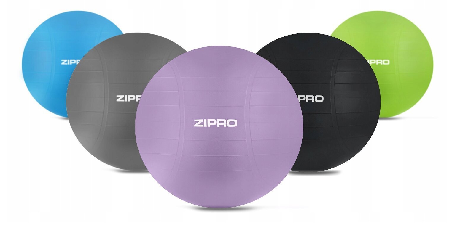 Võimlemispall Zipro 65 cm, lilla hind ja info | Võimlemispallid | kaup24.ee
