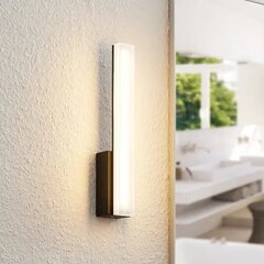 Lucande Lisana LED seinavalgusti, IP44, vertikaalne цена и информация | Настенные светильники | kaup24.ee