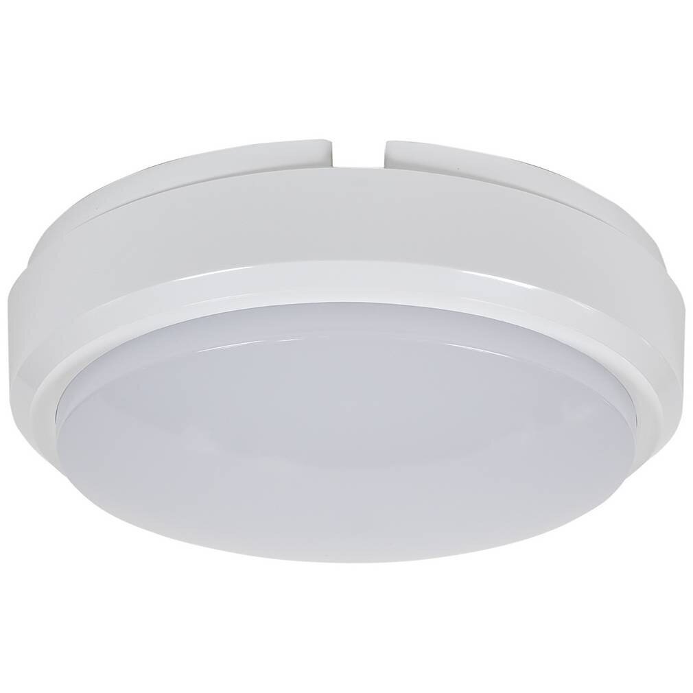 Lumens Müller Licht 20300537 lae LED lamp 8W 4000K 650lm IP54 176x56mm hind ja info | Laelambid | kaup24.ee