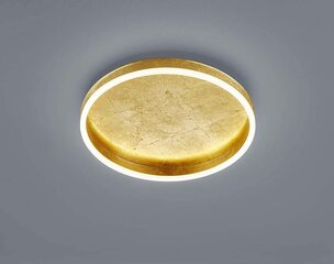Sona Ceiling Light Акриловый рассеиватель с сусальным золотом, сатинированный цена и информация | Потолочные светильники | kaup24.ee
