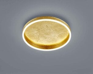 Sona Ceiling Light Акриловый рассеиватель с сусальным золотом, сатинированный цена и информация | Потолочные светильники | kaup24.ee