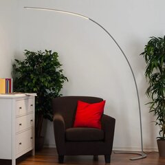 Hõbedane kaarekujuline LED-põrandalamp Danua hind ja info | Põrandalambid | kaup24.ee