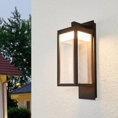 Светодиодный настенный светильник Ferdinand в форме фонаря цена и информация | Уличное освещение | kaup24.ee