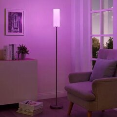 Lindby Smart RGB LED-põrandalamp Felice, rakenduse kaudu hind ja info | Põrandalambid | kaup24.ee