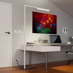 LED kontoripõrandalamp Tamilo, valge hind ja info | Põrandalambid | kaup24.ee