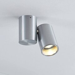 Потолочный светильник Sina, одна лампочка, алюминий цена и информация | Потолочные светильники | kaup24.ee