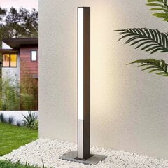 Светодиодный светильник на шине Lucande Aegisa, 110 см цена и информация | Уличное освещение | kaup24.ee