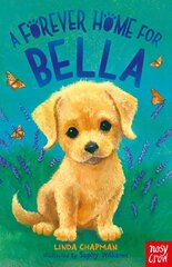 Forever Home for Bella цена и информация | Книги для подростков и молодежи | kaup24.ee