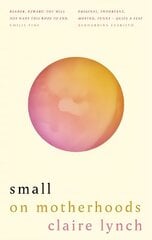 Small: On motherhoods цена и информация | Биографии, автобиогафии, мемуары | kaup24.ee