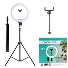 Airi LED Lamp цена и информация | Осветительное оборудование для фотосъемок | kaup24.ee