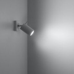 Sollux настенный светильник Ring цена и информация | Настенные светильники | kaup24.ee