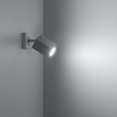 Настенный светильник SOLLUX Merida White цена и информация | Настенные светильники | kaup24.ee