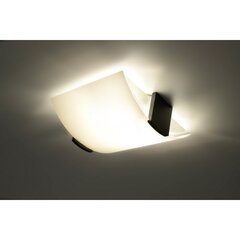 SOLLUX светильник Emilio цена и информация | Потолочные светильники | kaup24.ee