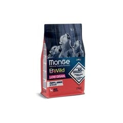 Monge BWild Adult All Breed сухой корм для щенков всех пород (до 12 месяцев) с олениной 2,5кг цена и информация | Сухой корм для собак | kaup24.ee