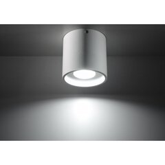 SOLLUX потолочный светильник Orbis White цена и информация | Потолочные светильники | kaup24.ee