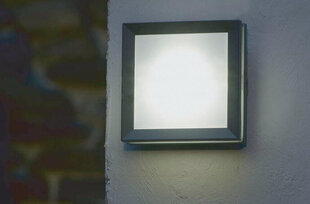 Настенный светильник для улицы Elstead Lighting Egil EGIL-1W цена и информация | Уличное освещение | kaup24.ee