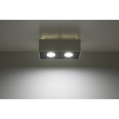 SOLLUX потолочный светильник Mono 2 White цена и информация | Потолочные светильники | kaup24.ee