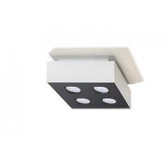 SOLLUX потолочный светильник Mono 4 White цена и информация | Потолочные светильники | kaup24.ee