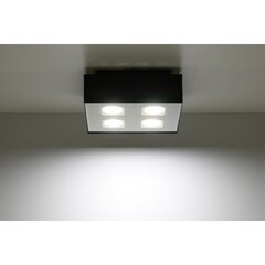 SOLLUX потолочный светильник Mono 4 White цена и информация | Потолочные светильники | kaup24.ee