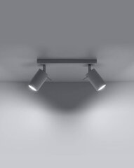 SOLLUX потолочный светильник Ring 2 White цена и информация | Потолочные светильники | kaup24.ee