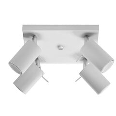 SOLLUX потолочный светильник Ring 4 White цена и информация | Потолочные светильники | kaup24.ee
