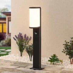 Lucande Jokum LED rajavalgusti IP54 60cm sensor цена и информация | Уличное освещение | kaup24.ee