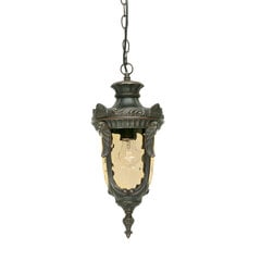 Подвесной уличный светильник Elstead Lighting Philadelphia PH8-M-OB цена и информация | Уличное освещение | kaup24.ee