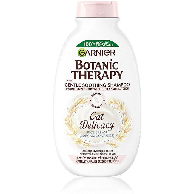 Rahustav šampoon Garnier Botanic Therapy Oat Delicacy, 250 ml цена и информация | Šampoonid | kaup24.ee