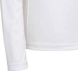 Särk Adidas Team Base Tee, valge hind ja info | Jalgpalli varustus ja riided | kaup24.ee