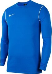 Särk Nike JR Park, sinine hind ja info | Jalgpalli varustus ja riided | kaup24.ee