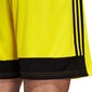 Lühikesed püksid Adidas Tastigo 19, kollane hind ja info | Jalgpalli varustus ja riided | kaup24.ee