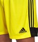 Lühikesed püksid Adidas Tastigo 19, kollane hind ja info | Jalgpalli varustus ja riided | kaup24.ee