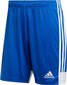 Lühikesed püksid Adidas Tastigo 19, sinine цена и информация | Jalgpalli varustus ja riided | kaup24.ee