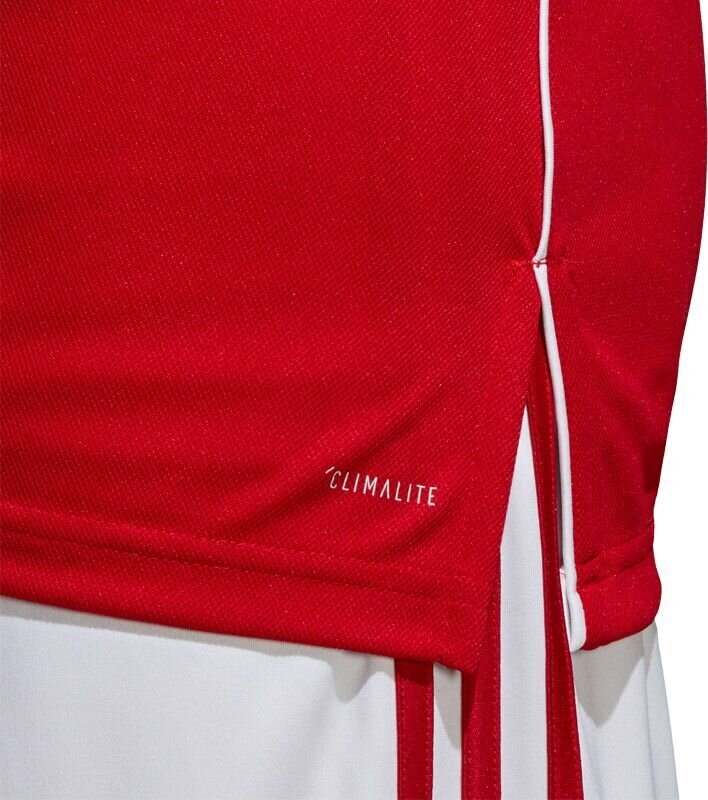 T-särk Adidas Core 18, punane hind ja info | Jalgpalli varustus ja riided | kaup24.ee