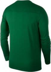 T-särk Nike JR Park 18, roheline hind ja info | Jalgpalli varustus ja riided | kaup24.ee