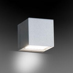 Настенный светильник Milan Dau цена и информация | Настенные светильники | kaup24.ee