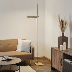 Icone GiuUp LED ülesvalgusti, reguleeritav hämardus, hall värv hind ja info | Põrandalambid | kaup24.ee
