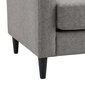 Diivan Kaci Loveseat, hall hind ja info | Diivanid ja diivanvoodid | kaup24.ee