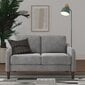 Diivan Marbella Loveseat, hall hind ja info | Diivanid ja diivanvoodid | kaup24.ee