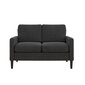 Diivan Kaci Loveseat, hall hind ja info | Diivanid ja diivanvoodid | kaup24.ee