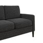 Diivan Kaci Loveseat, hall цена и информация | Diivanid ja diivanvoodid | kaup24.ee